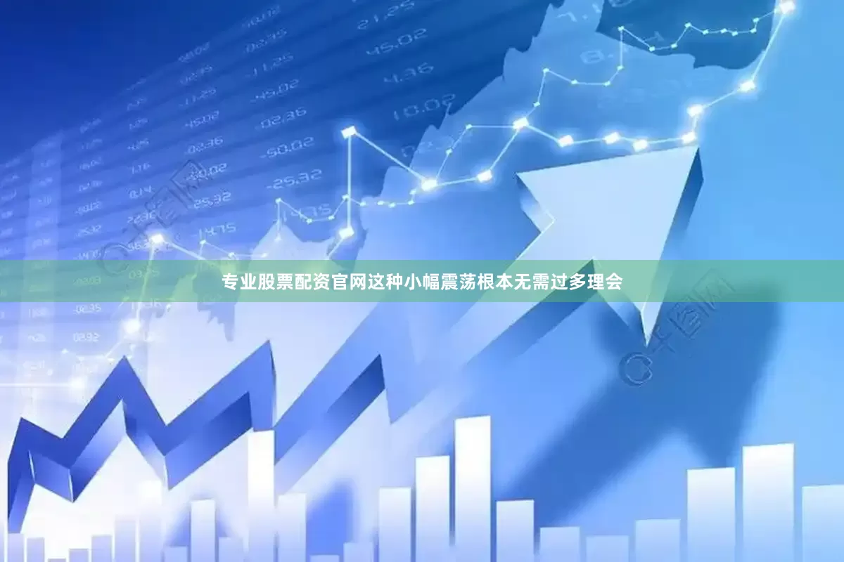 专业股票配资官网这种小幅震荡根本无需过多理会