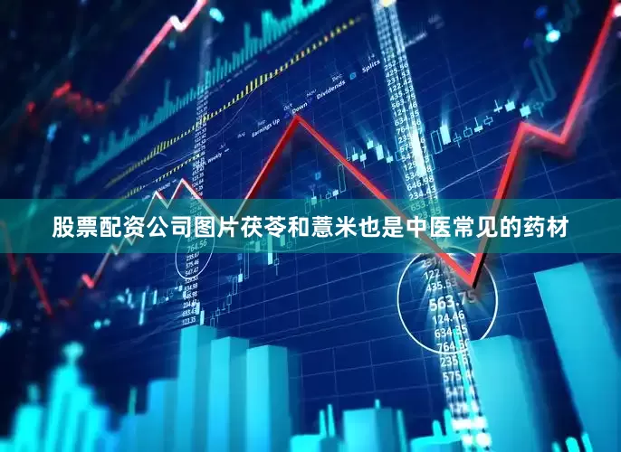 股票配资公司图片茯苓和薏米也是中医常见的药材