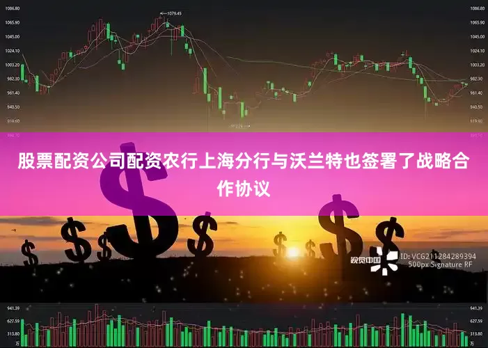 股票配资公司配资农行上海分行与沃兰特也签署了战略合作协议