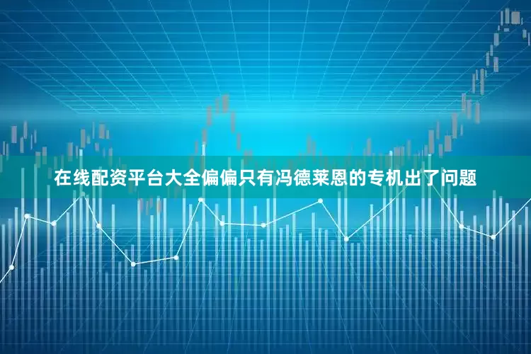 在线配资平台大全偏偏只有冯德莱恩的专机出了问题